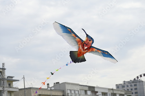 Festival des cerfs-volants à Berck-sur-mer photo