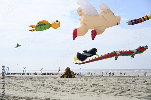 Festival des Cerfs-Volants à Berck sur mer photo