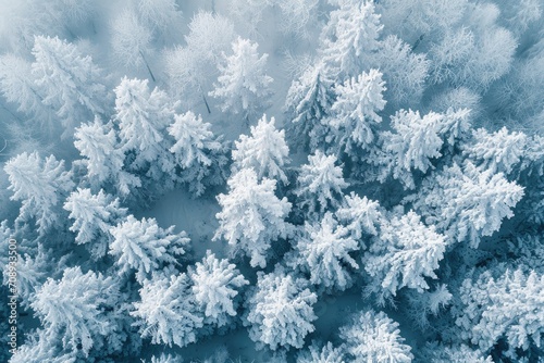 Enchanting Snowscapes: Abstract Patterns in Winter Wonderlands