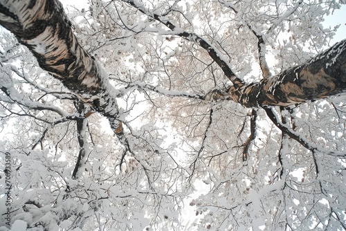 Enchanting Snowscapes: Abstract Patterns in Winter Wonderlands photo