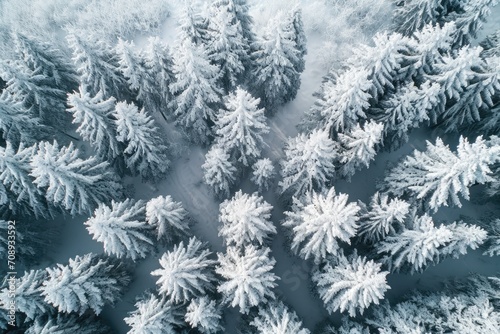 Enchanting Snowscapes  Abstract Patterns in Winter Wonderlands