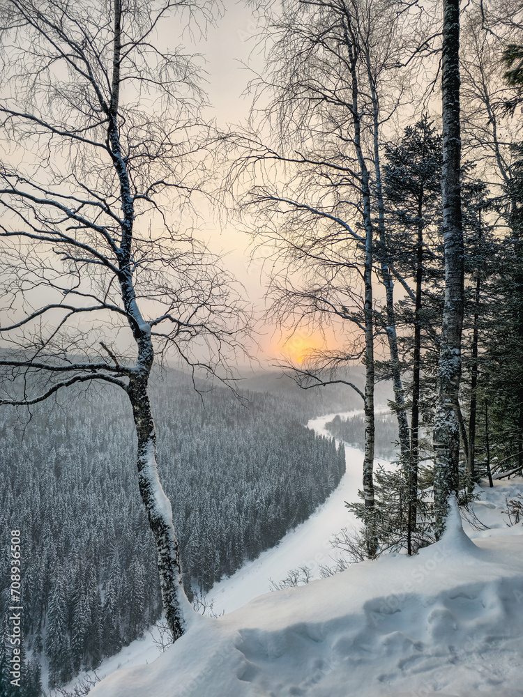Beautiful sunrise on a frosty morning, a snowy cliff, trees on the edge.