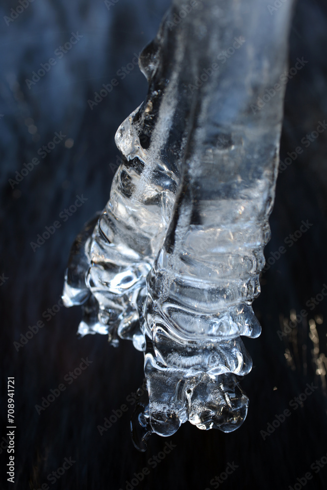 Icicles - Forest of Birse - Strachan - Scotland - UK