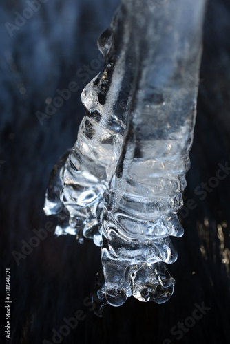 Icicles - Forest of Birse - Strachan - Scotland - UK