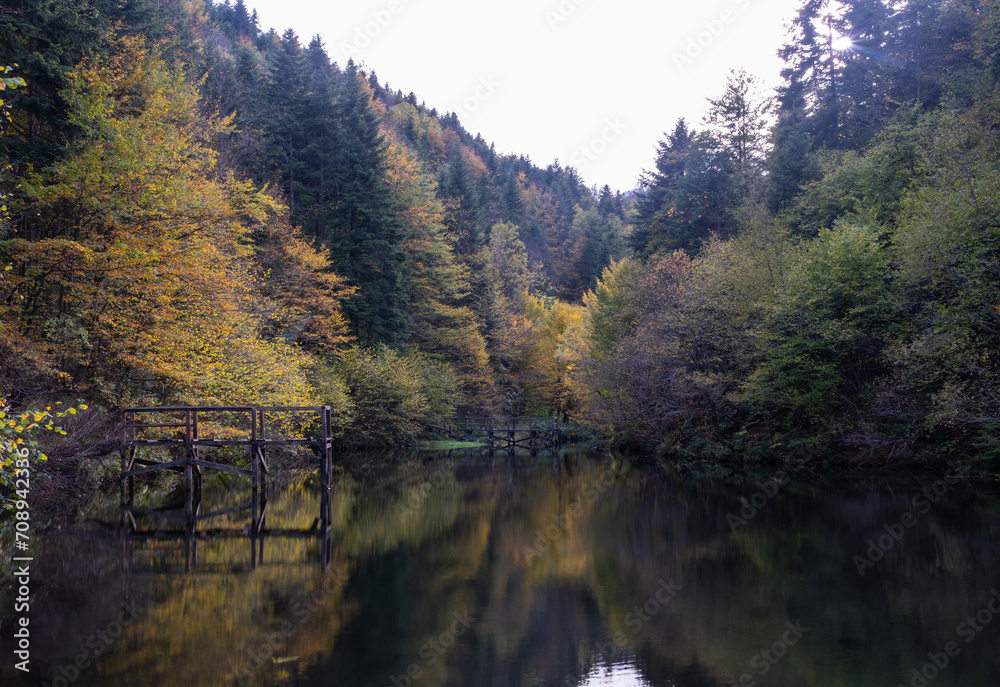 Lake in the woods