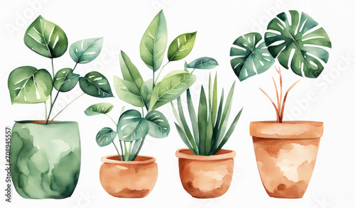 Watercolor houseplants. Several famous plants in pots on a white background