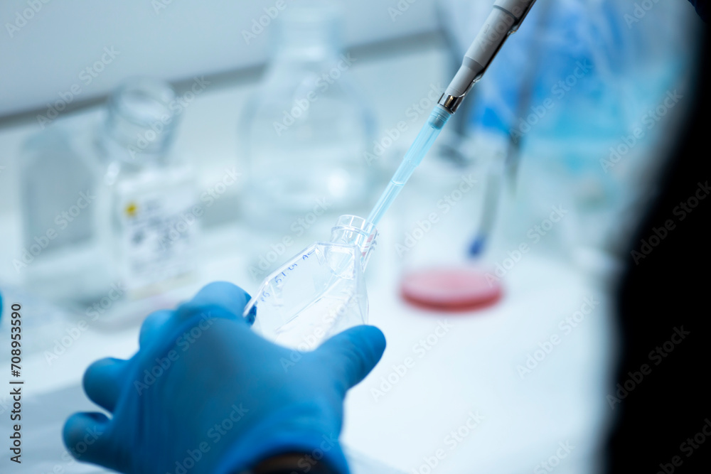 Fototapeta premium cell culture at the safety cabinet in cell culture laboratory, cancer and medicine research