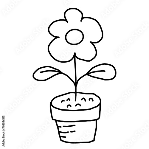 flower pot