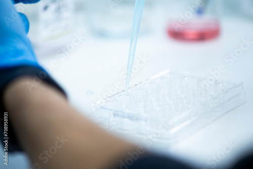 geneticist working with microplate for cells analysis in the genetic lab. Researcher working with samples of tissue culture in microplate in the bioengineering laboratory, medicine laboratory
