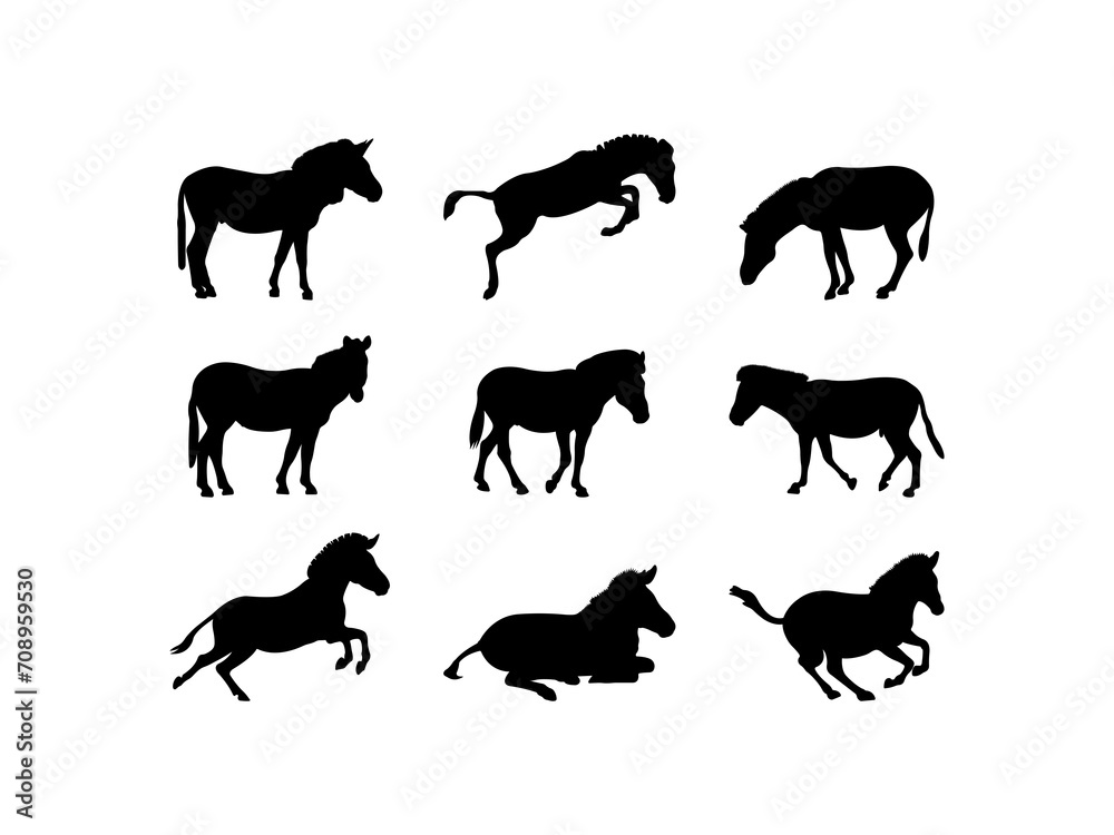 Set of Zebra Silhouette in various poses isolated on white background
