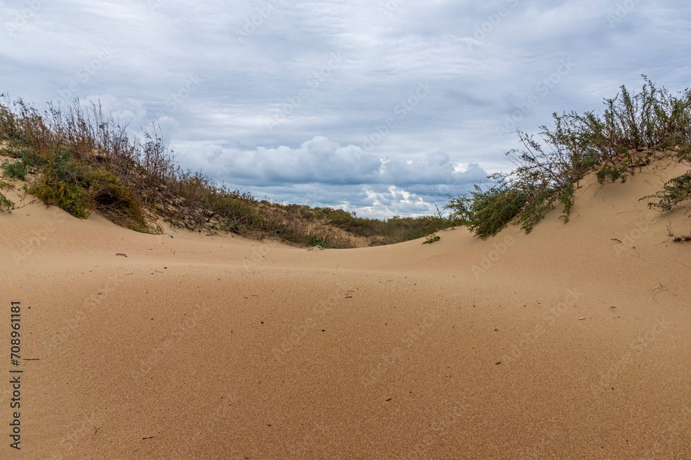 The seashore. Sand dunes.