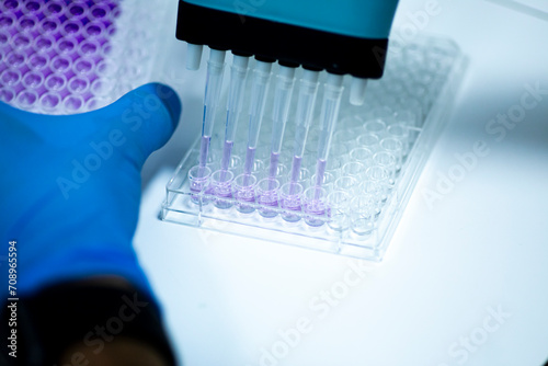 geneticist working with microplate for cells analysis in the genetic lab. Researcher working with samples of tissue culture in microplate in the bioengineering laboratory, medicine laboratory