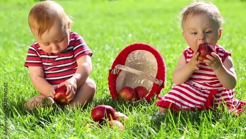 Two happy babies eat red apples near basket on green grass photo