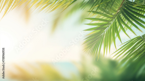 Sunlight filters through tropical palm leaves  creating a warm  sun-kissed atmosphere of a summer day.