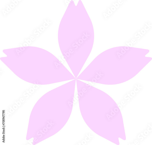 벚꽃
