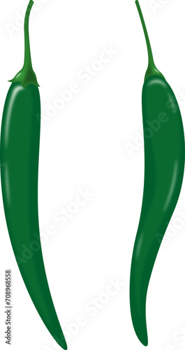 hot green peppers vector
