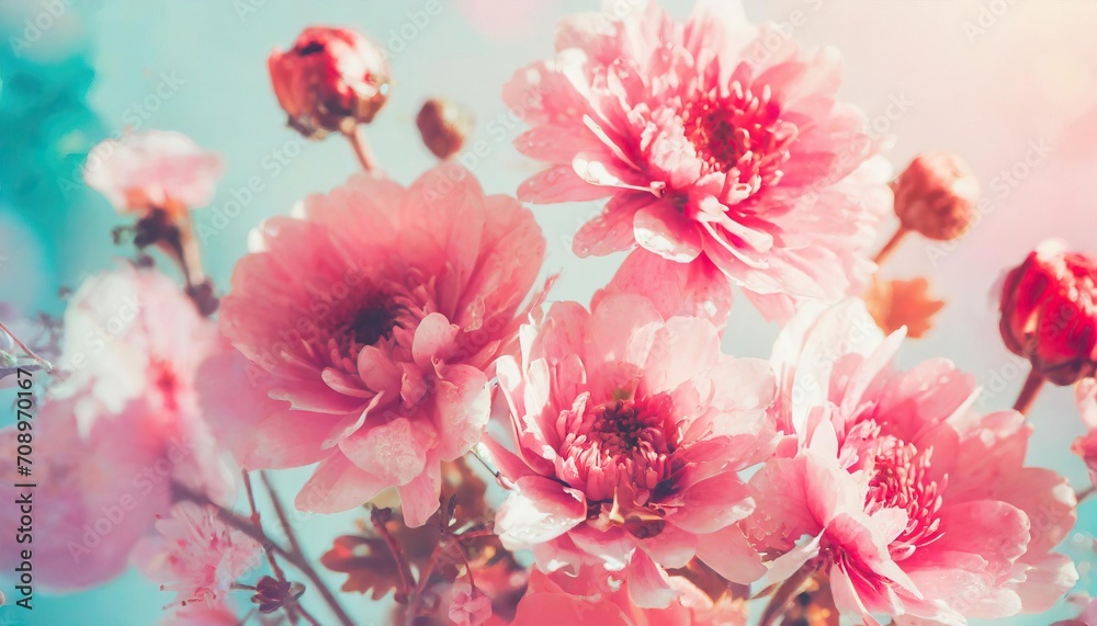 Spring floral composition made of fresh pink flowers on light pastel background