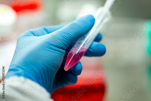 geneticist working with microplate for cells analysis in the genetic lab. Researcher working with samples of tissue culture in microplate in the bioengineering laboratory, medicine laboratory
