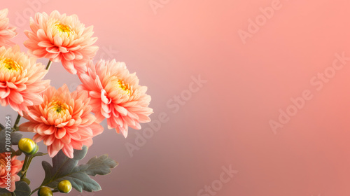 Flower chrysanthemum illustration greeting card with an empty space for text on a soft peach background.