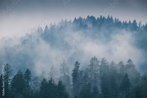 fog in the mountains © AlexH