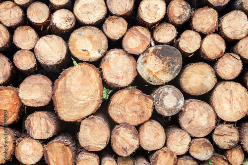 Close-up of big wood stack for background