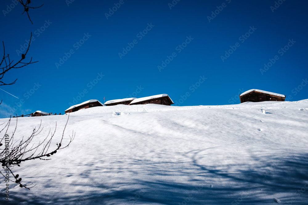 Fototapeta premium Alp switzerland