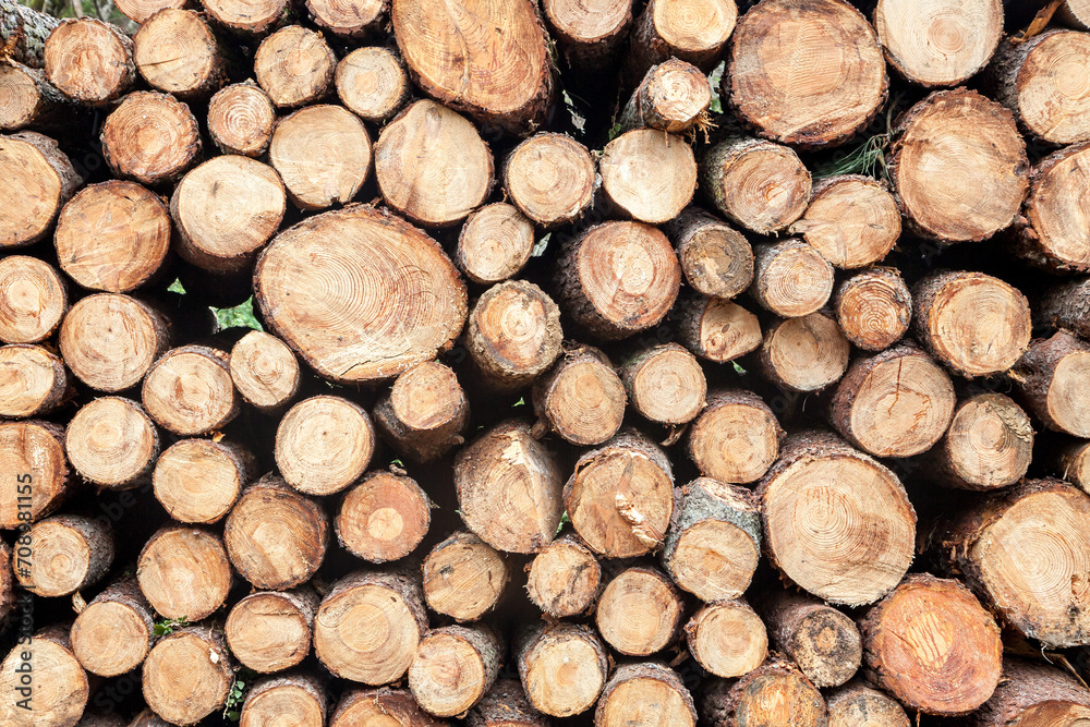 Close-up of big wood stack for background Close-up of big wood stack for background