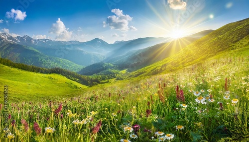 idyllic mountain panoramic landscape fresh green meadows and blooming wildflowers sun ray beautiful nature countryside view rural sunny outdoor natural bright banner nature spring summer panorama