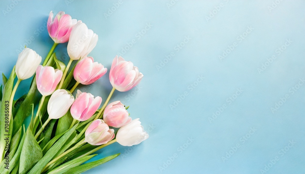 beautiful composition spring flowers bouquet of pink white tulips flowers pastel blue background valentine s day easter birthday happy women s day mother s day flat lay top view copy space
