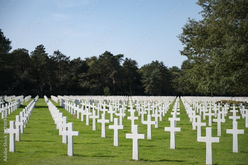 Detail of the multitude of white crosses at the Normandy American Cemetery.