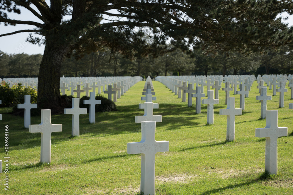 Detail of the multitude of white crosses at the Normandy American Cemetery.