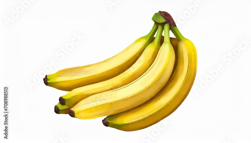 illustration of a bunch of bananas isolated on white hand drawn style
