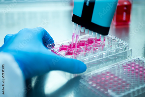 Researcher in laboratory working with cell culture, medical, medicine and cell culture laboratory, safety cabinet