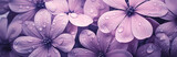 I love purple flowers, they are very beautiful, in the style of nature morte, cross-processing/processed, light pink, macro zoom, storybook-like, monochromatic color scheme, water drops