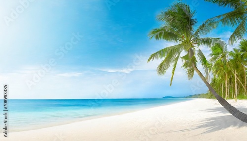 beautiful tropical beach banner white sand and coco palms travel tourism wide panorama background concept amazing beach landscape © Richard