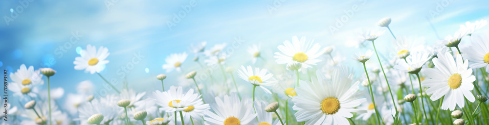 Daisy and daisy flower flower in summer, in the style of bokeh panorama, realistic blue skies, abstract landscape, 3840x2160, light-filled
Daisy and daisy flower flower in summer, in the style of bokeh panorama, realistic blue skies, abstract landscape, 3840x2160, light-filled