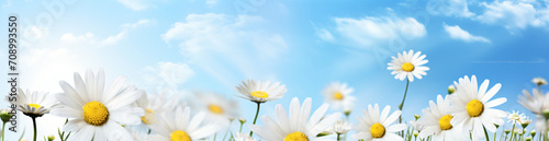 Daisy and daisy flower flower in summer  in the style of bokeh panorama  realistic blue skies  abstract landscape  3840x2160  light-filled  