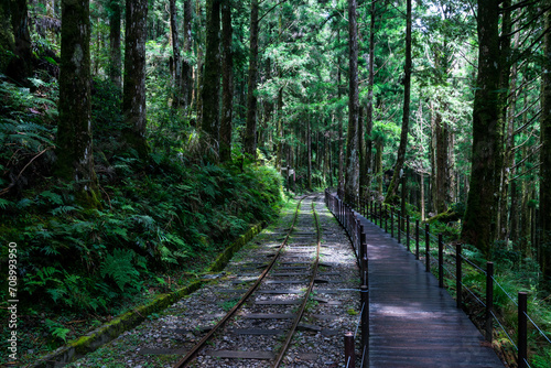 mountain train way in forest at Taiping mountain, Yilan photo