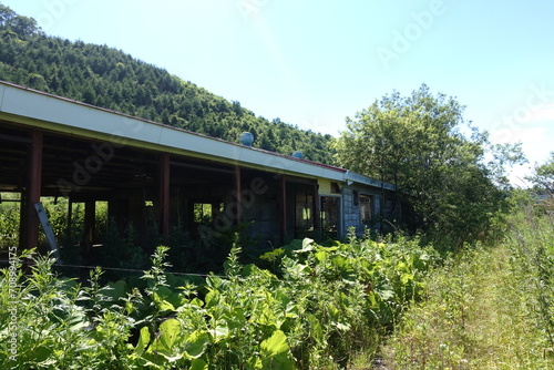 abandoned farm building overgrowing with green plants photo