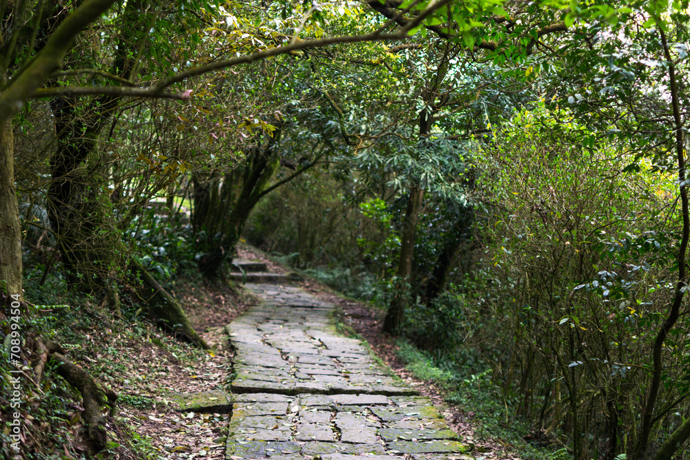 Obraz premium Mountain trail with rocks in taipei city