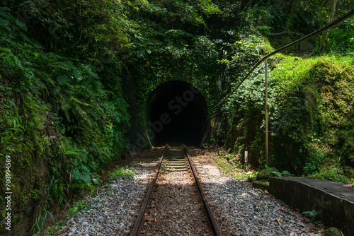 Small tunnel with rails hidden in the greeny mountain photo