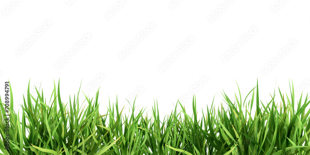 Green grass border on a transparent background.