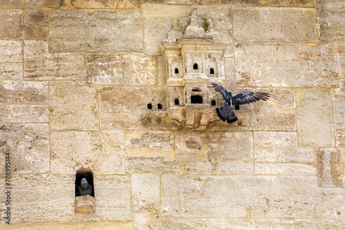 Bird houses in ottoman architecture. Photographs of Ayazma Mosque. Birdhouses added to buildings to accommodate birds photo