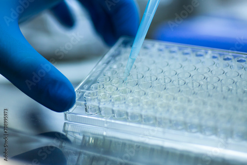 geneticist working with microplate for cells analysis in the genetic lab. Researcher working with samples of tissue culture in microplate in the bioengineering laboratory