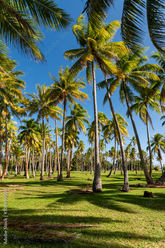 Huahine's paradise, French Polynesia