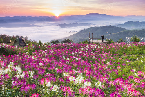 Beautiful sunrise in the morning with sea of mist on hight moutain, Mon Mok Tawan, Tak Province, Thailand. photo