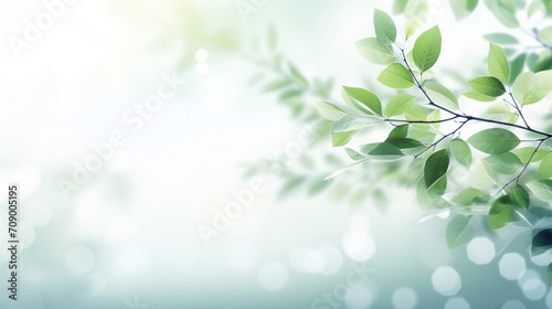 Green leaves in soft focus with a gentle bokeh effect in the background  conveying freshness and tranquility.