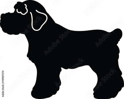 Miniature Schnauzer side view standing silhouette with details