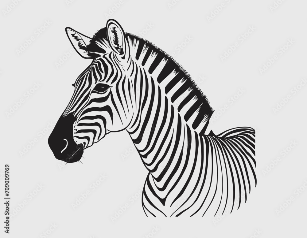 Fototapeta premium standing grevy's zebra vector illustration isolated on white