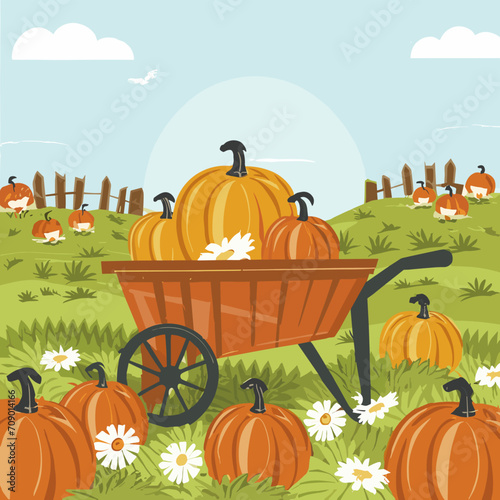 Autumn landscape. harvesting, autumn, rural landscape. wheelbarrow, pumpkins, autumn. autumn garden